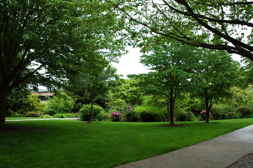 Garden Design