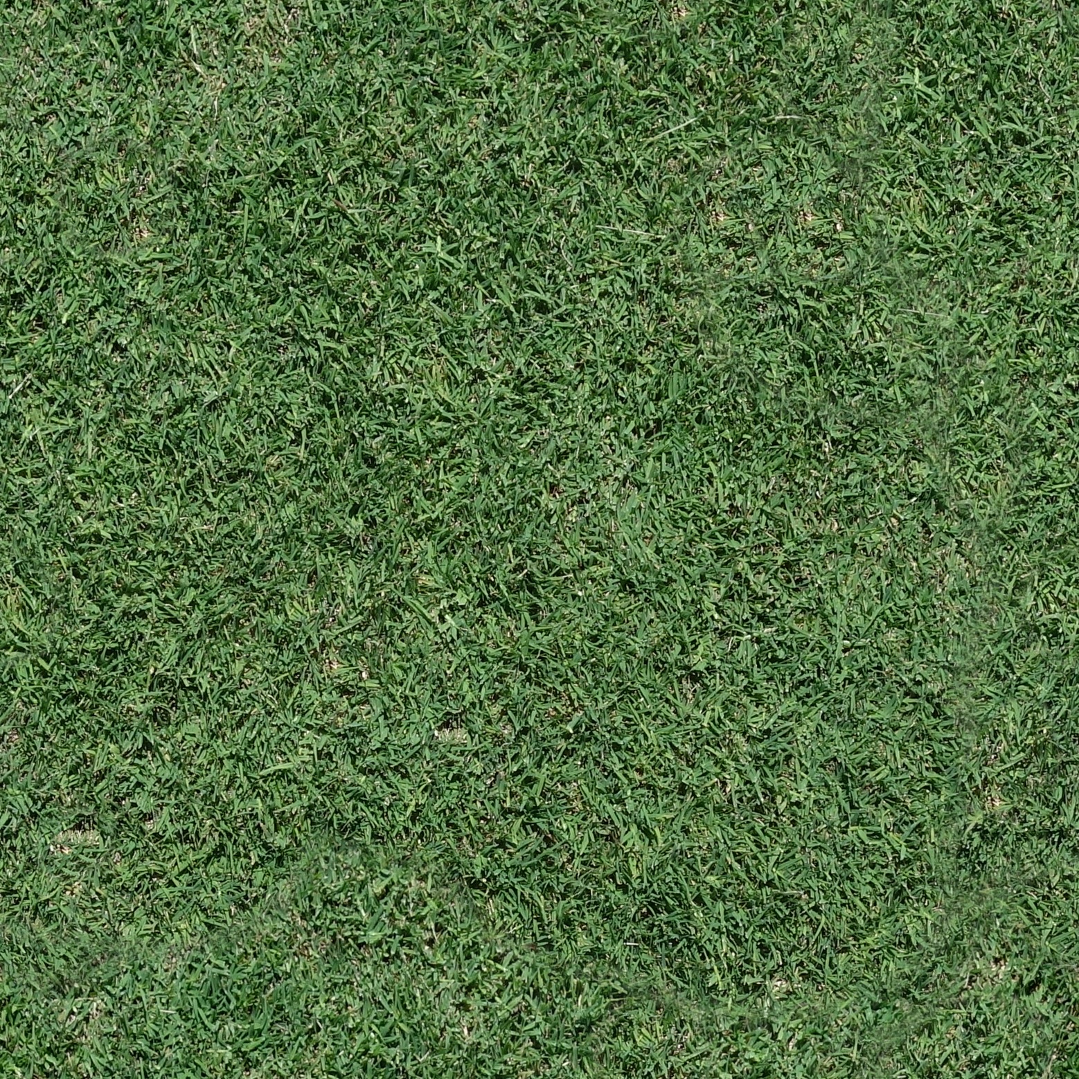 Turfing & Artificial Grass